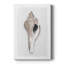 Sea Front Shell II - impression sur toile tendue-1821128734