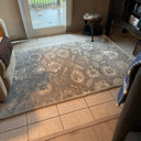 Charlton Home® Sneyd Park Hand Tufted Wool Floral Indoor Rug & Reviews ...