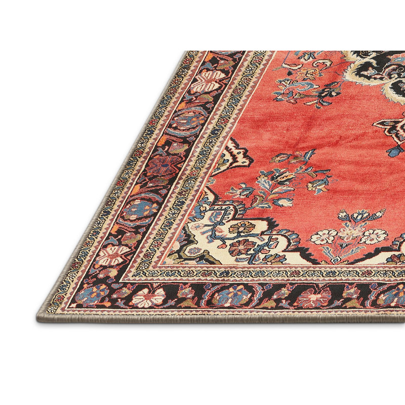 Emyr Oriental Indoor Rug, Rectangle 7' x 10'