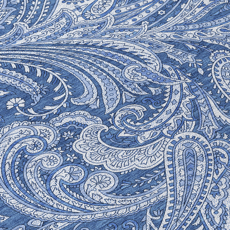 Fareham Flatweave Washable Paisley Indoor / Outdoor Rug, Round 8'