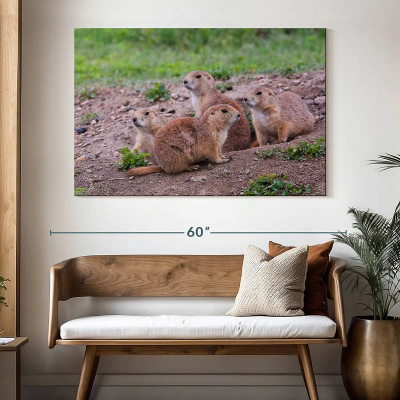 Brampt Forest Brampt Nursery, 34" H x 51" W