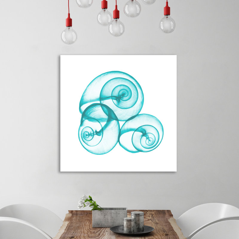 Turquoise Sky Snails - Wrapped Canvas Print, 91 cm H x 91cm W x 4cm