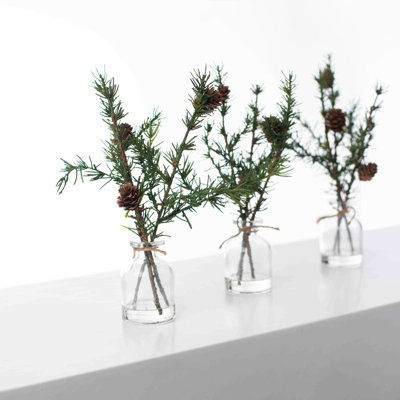 Arrangements floraux classiques en pot