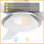 Ventilateur de plafond intelligent Daffodil avec télécommande, ensemble d'éclairage inclus, fonctionne avec l'assistant Google, Amazon Alexa et les raccourcis Siri.