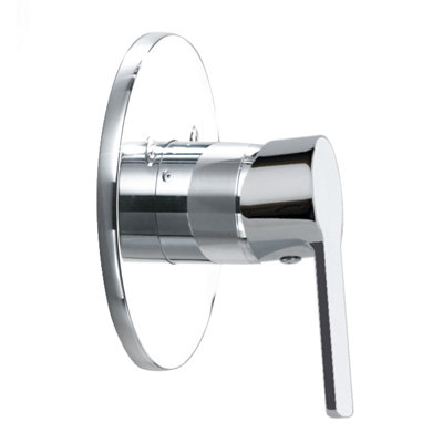 Shirleen Single Concealed Shower Valve