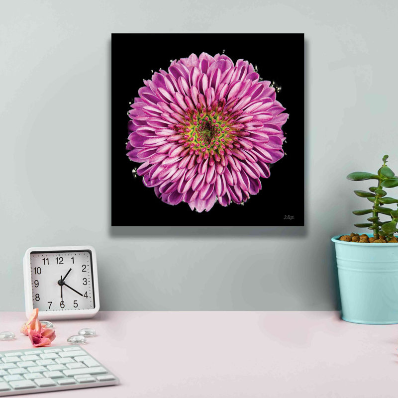 Mauve dégradé par Donnie Quillen, H 12 po x l 12 po x P 0,75 po