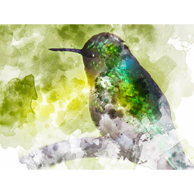 Colibri