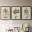 Fern Botanical I - Ensemble de 3 peintures sur toiles encadrées-772660942-772660943