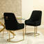 Aeriell 53.5cm H Velvet Upholstered Armchair-1603082811-1603082812