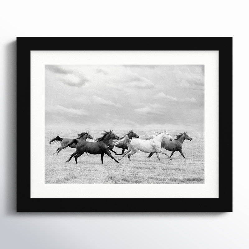 Horse Run I by PHBurchett, 11" H x 13" W, Black