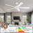 60'' 5 Blade Dc Motor Ceiling Fan With Led Light And Remote-1721163038