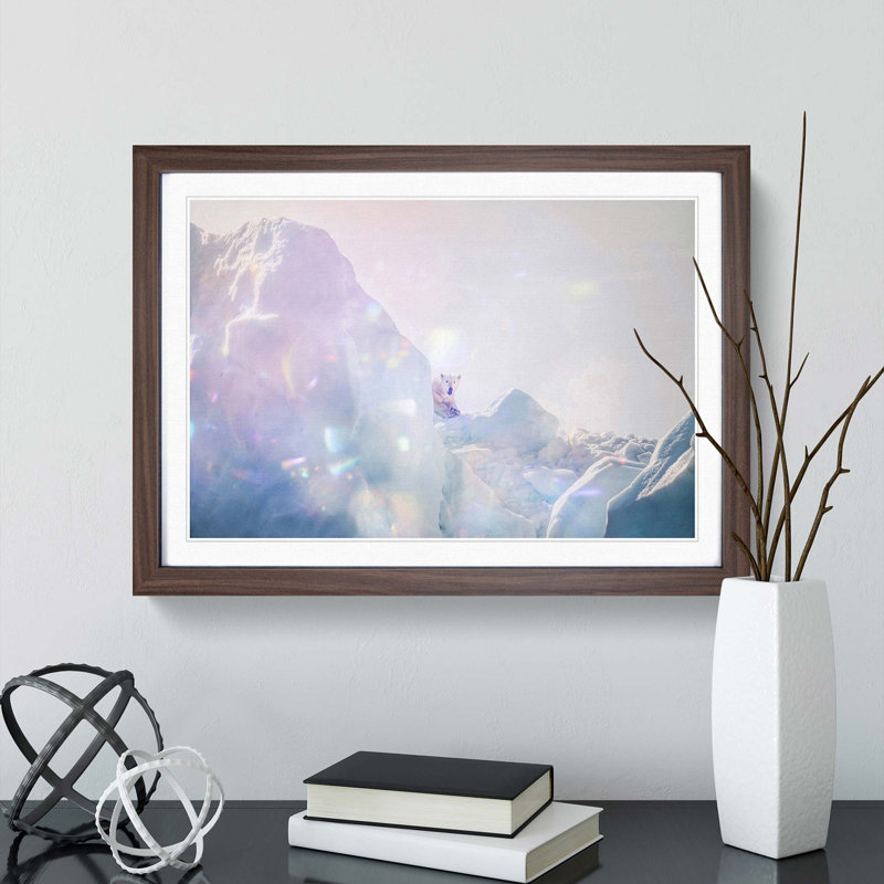 Polar Bear in the Wild - Picture Frame Photograph Print, 27cm H x 36cm W x 2cm D, Walnut Framed