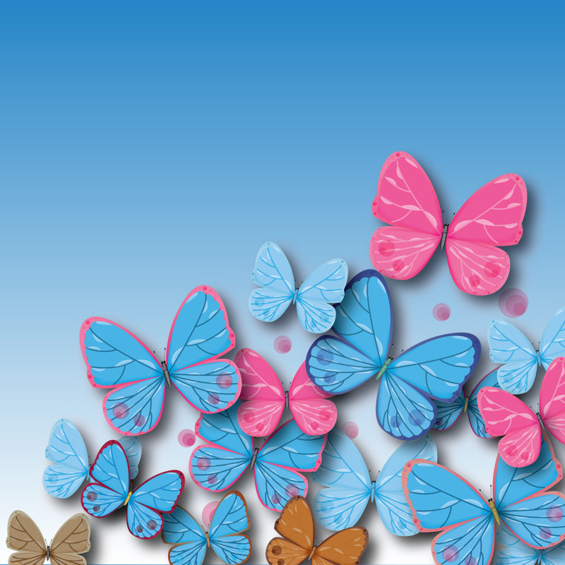 Butterflies by Oxyggen - Wrapped Canvas Print, 30cm H x 30cm W