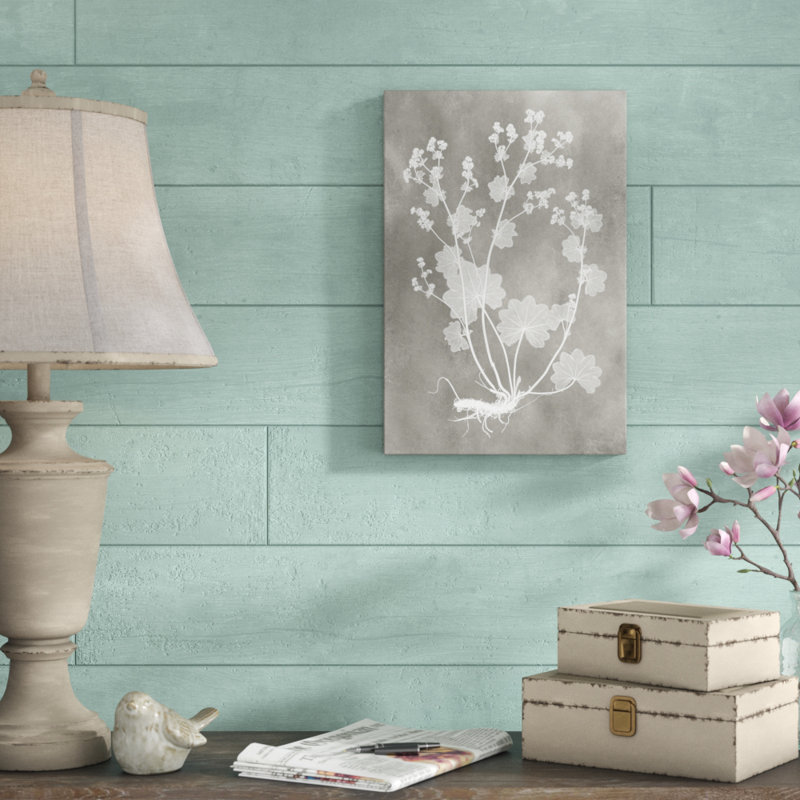 'Herbarium Study I' by Vision Studio - Painting Print, 46cm H x 30cm W, Wrapped Canvas