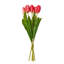 Vickerman 16"H Plum Tulip Bundle of 5.-1404122197