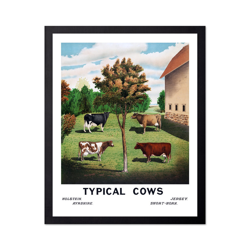 Vaches typiques, H 12 po x l 16 po, Affiche, Cadre noir
