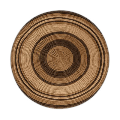 Nature Brown Indoor and Outdoor Area Rug