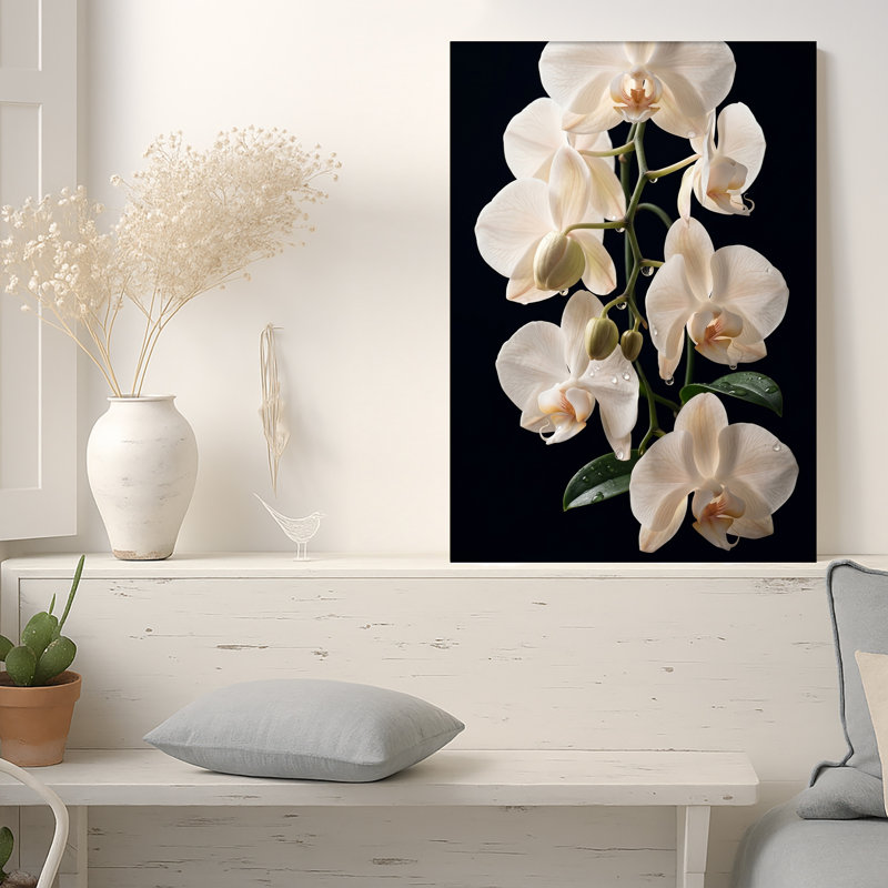 Orchidée blanche en fleurs avec gouttelettes d'eau sur toile noire, H 18 po x l 12 po