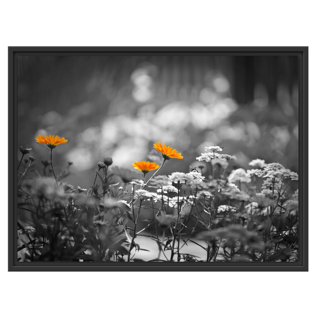 Gerahmtes Wandbild Gartenblumen auf Wiese