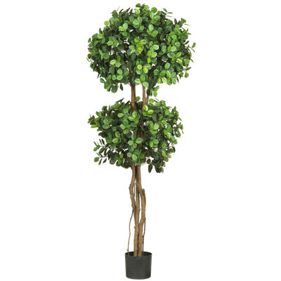 Arbre en soie 5,5 pi à double boule topiaire en soie Eucalyptus
