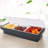 Prep & Savour Plastic Tray
