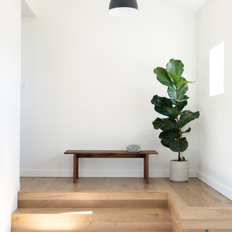 Opia Platform Bench