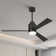 Karlena 52'' Mattte Flush Mount Indoor Ceiling Fan with Led Lights Kit and Remote Control