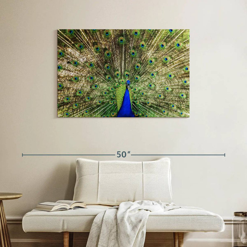 Crowle Majestic Peacock Display, 26" H x 39" W