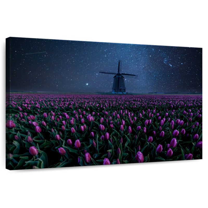 Champ de tulipes Harnek Starry, H 16 po x l 24 po