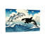 Animal Dolphins Leaping Waves Orca Sky Birds Ocean Scene-1128291847-1128291840-1128291843
