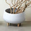 Round Ceramic Planter with Wood Feet-27131845