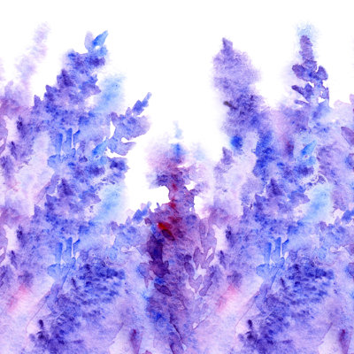Watercolour Lavender Flower Blossom Abstract Background Texture by Silmairel - Wrapped Canvas Print