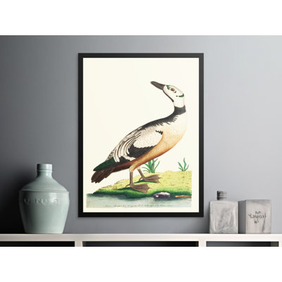 Nathanael 1 Piece Wall Art