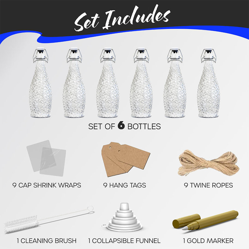  Ensemble de bouteilles en verre 17 oz.