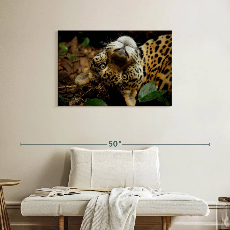 Goofy Jaguar, 24" H x 36" W