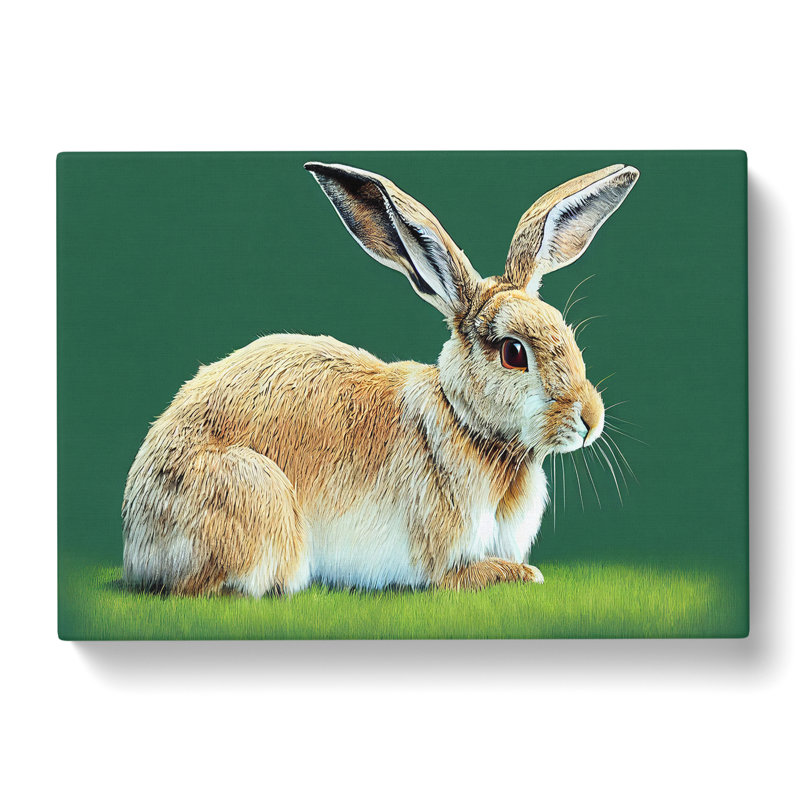 A Cute Rabbit - Wrapped Canvas, 50cm H x 76cm W x 3cm D