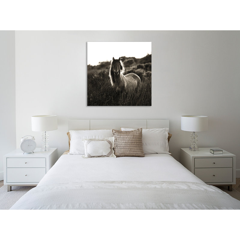 «Evening Glow Crop», toile tendue par Aledanda, H 24 po x l 24 po x P 1,5 po