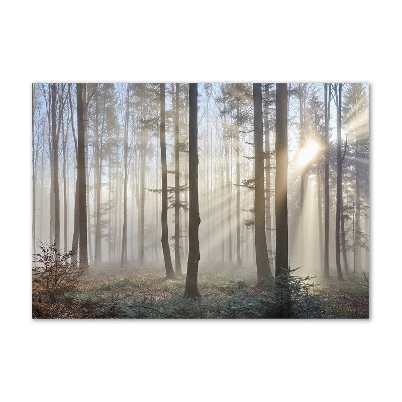 Fog In The Forest - Wrapped Canvas Print