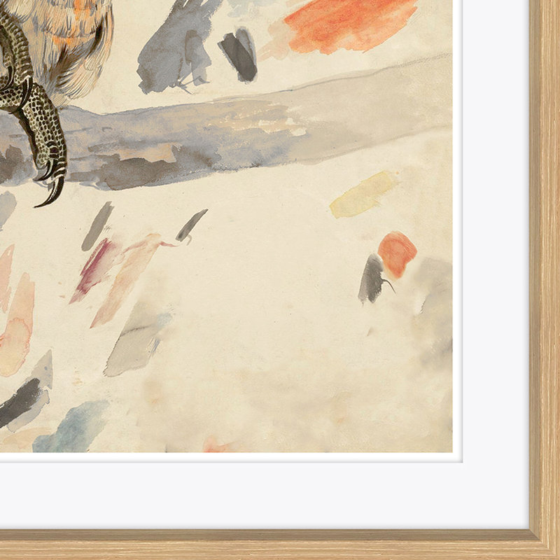 Watercolor Birds 2 - Peinture encadrée sur papier