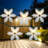 102'' String Lights