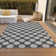 Chayden Flatweave Washable Polka Dots Indoor / Outdoor Rug