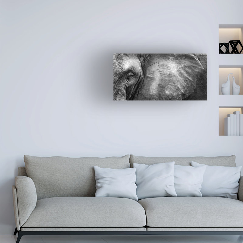Art sur toile Face bélier, éléphant sauvage, H 10 po x l 19 po