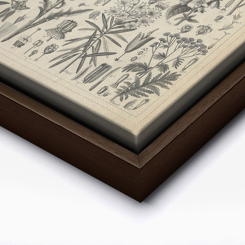 Sève et plantes résineuses, Canvas, 12"H x 16"W, Brown Framed