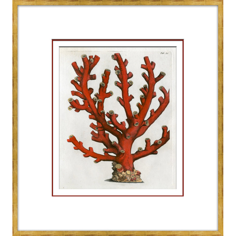 Coral In Red 5 Giclee Print by Dana Gibson