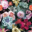 Rouleau de papier peint adhésif L 18,86 pi x l 18 po Blooms-55178384