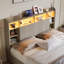 Upholstered Storage Bed-342922415-342922409
