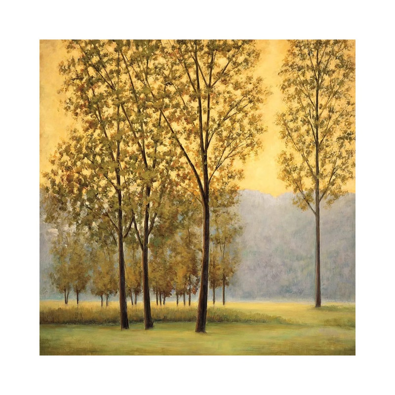 Misty Morning II by Neil Thomas - Wrapped Canvas Print, 66.04 cm H x 66.04 cm W x 1.91 cm D