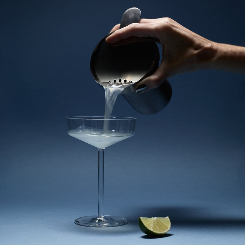 Stainless Steel Cocktail Strainer, Brushed