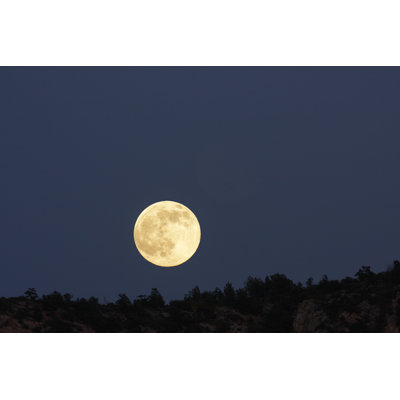 Full Moon Desert Night Silhouette by Chuckschugphotography