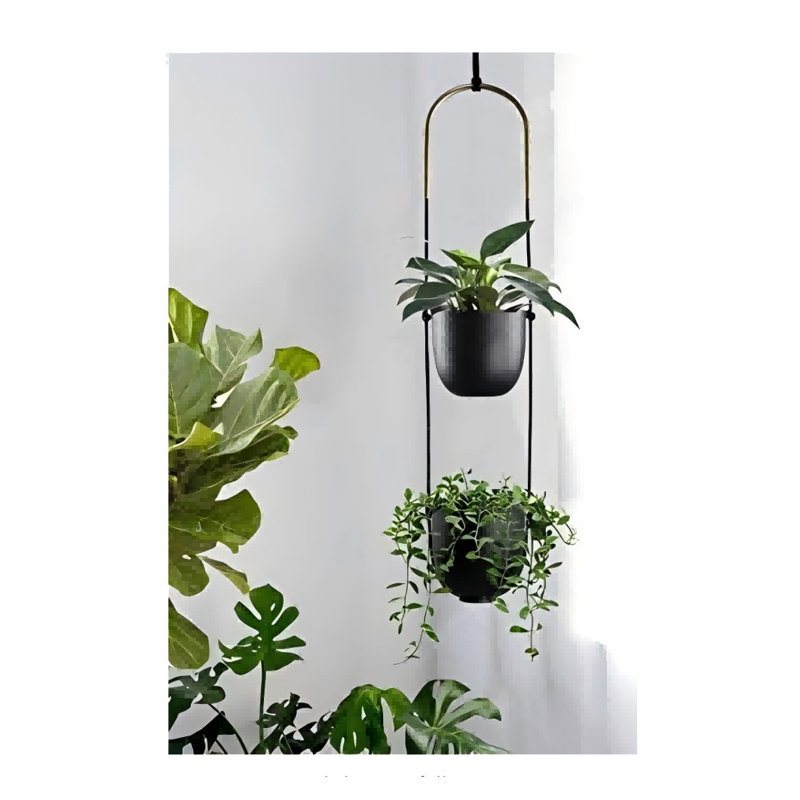 Plantes d'intérieur et d'extérieur avec crochet Boho